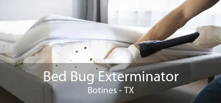 Bed Bug Exterminator Botines - TX