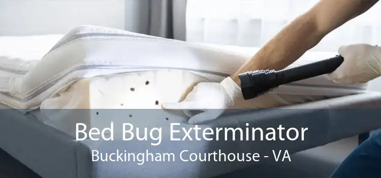 Bed Bug Exterminator Buckingham Courthouse - VA