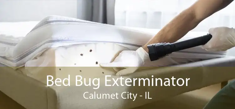 Bed Bug Exterminator Calumet City - IL
