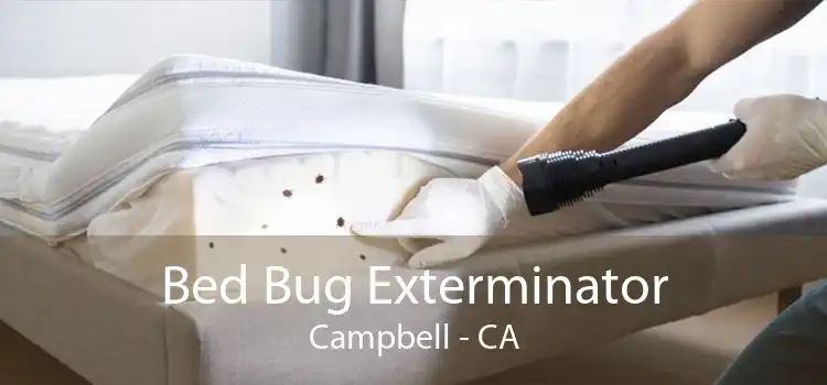 Bed Bug Exterminator Campbell - CA