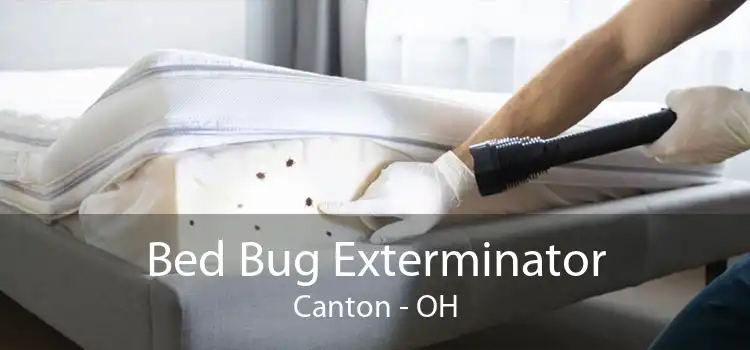 Bed Bug Exterminator Canton - OH