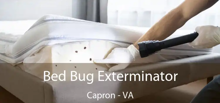  Bed Bug Exterminator Capron - VA