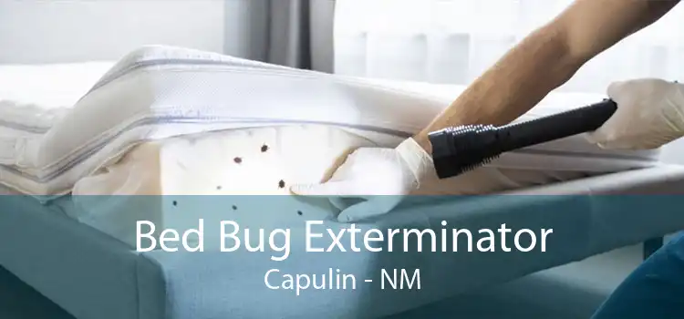 Bed Bug Exterminator Capulin - NM