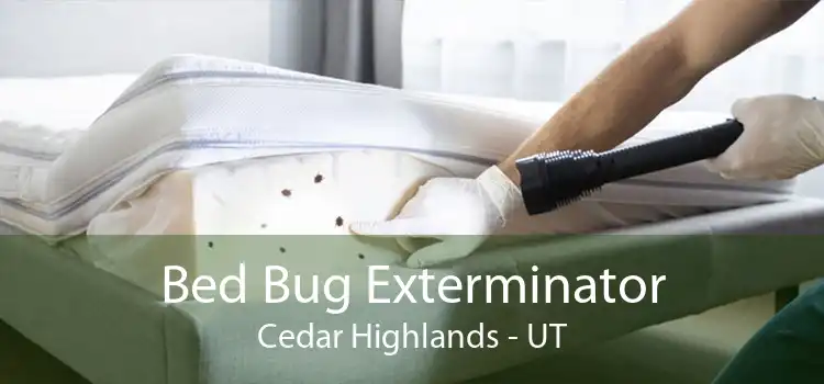 Bed Bug Exterminator Cedar Highlands - UT