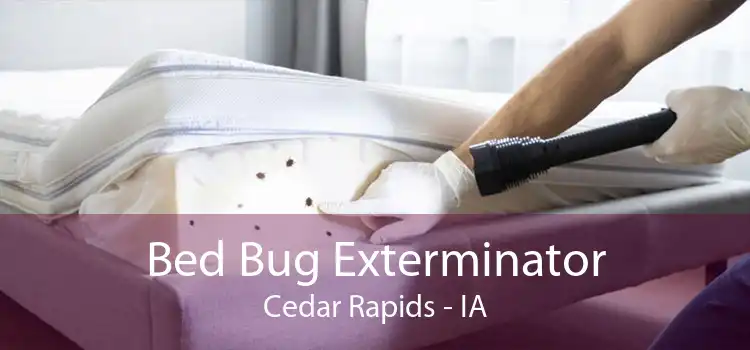 Bed Bug Exterminator Cedar Rapids - IA