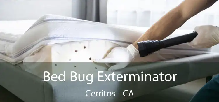  Bed Bug Exterminator Cerritos - CA
