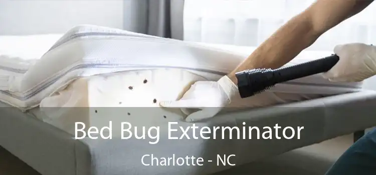 Bed Bug Exterminator Charlotte - NC