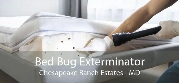 Bed Bug Exterminator Chesapeake Ranch Estates - MD