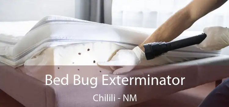  Bed Bug Exterminator Chilili - NM