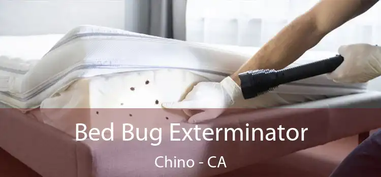 Bed Bug Exterminator Chino - CA