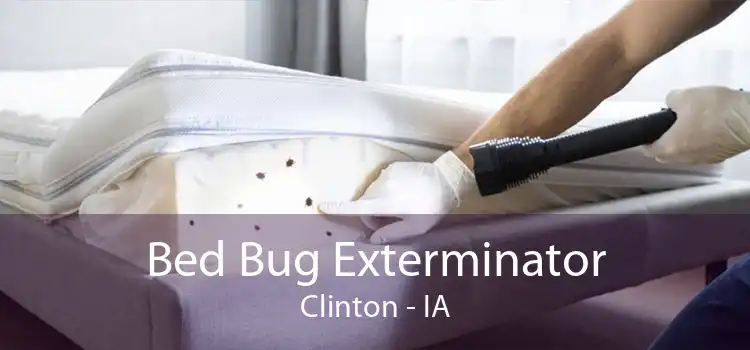 Bed Bug Exterminator Clinton - IA