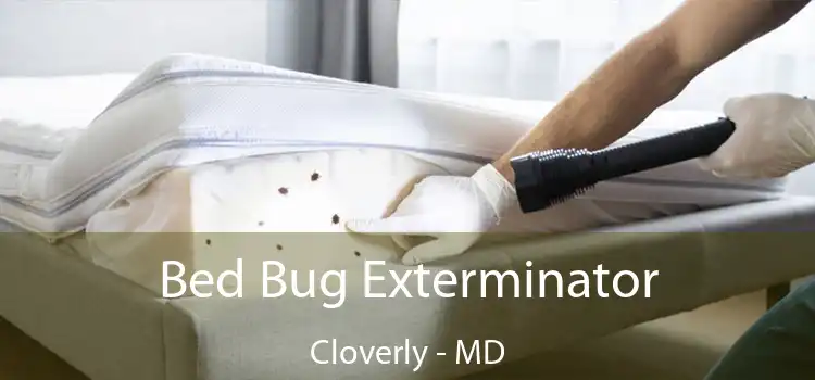  Bed Bug Exterminator Cloverly - MD