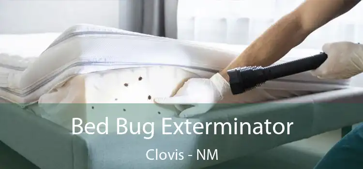  Bed Bug Exterminator Clovis - NM