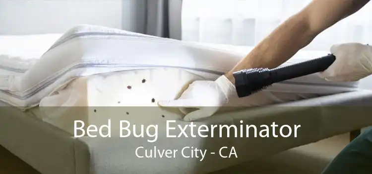 Bed Bug Exterminator Culver City - CA