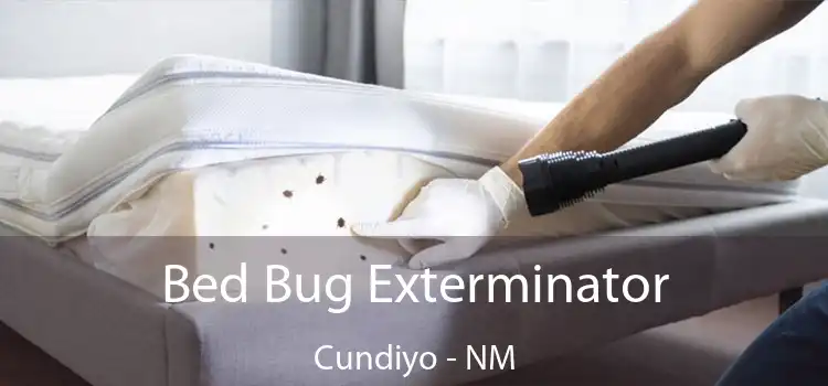  Bed Bug Exterminator Cundiyo - NM