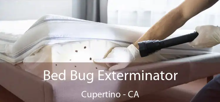 Bed Bug Exterminator Cupertino - CA