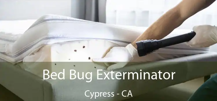  Bed Bug Exterminator Cypress - CA