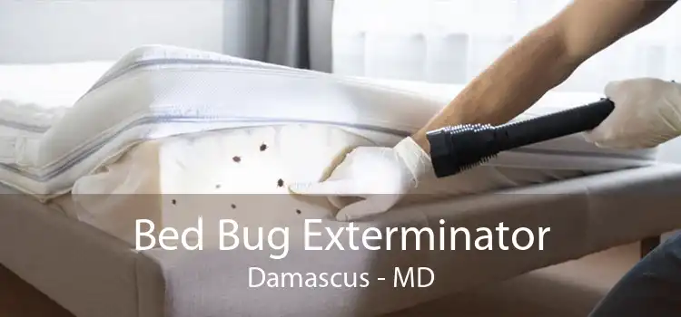 Bed Bug Exterminator Damascus - MD