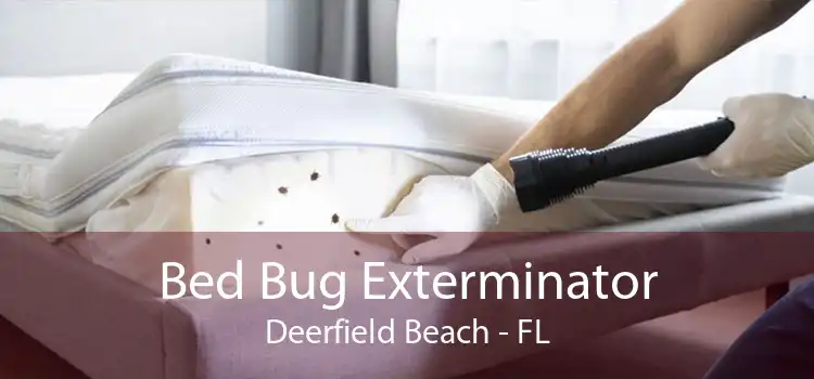 Bed Bug Exterminator Deerfield Beach - FL