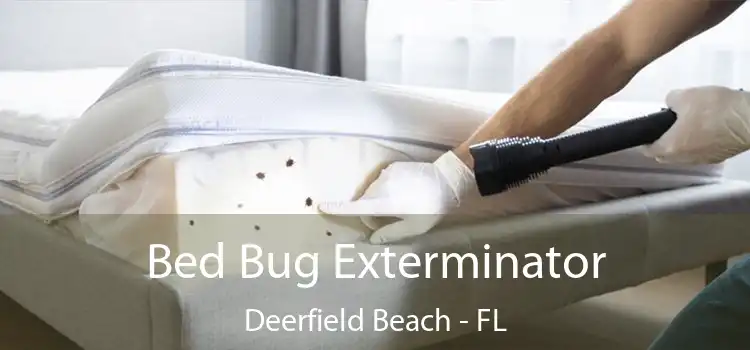 Bed Bug Exterminator Deerfield Beach - FL