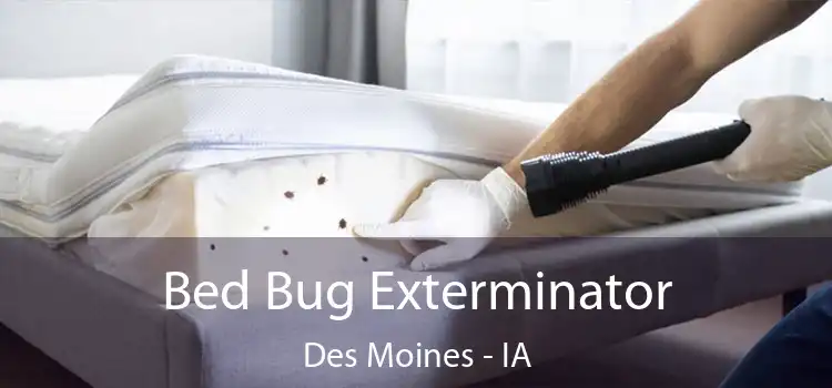 Bed Bug Exterminator Des Moines - IA