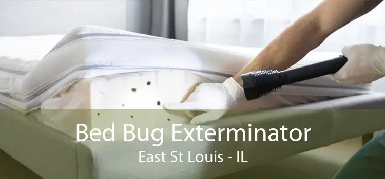 Bed Bug Exterminator East St Louis - IL