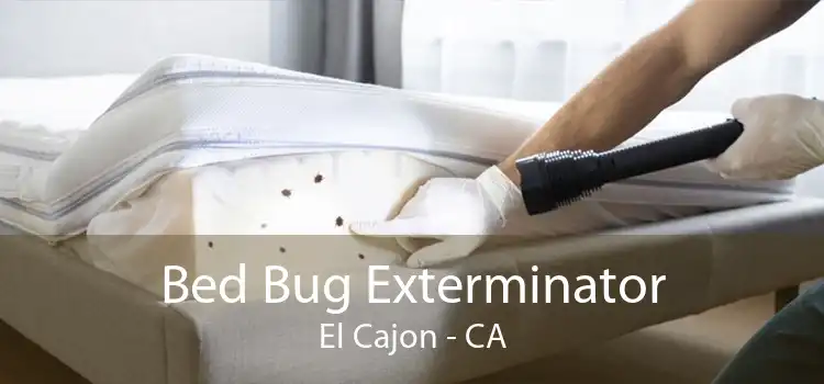 Bed Bug Exterminator El Cajon - CA