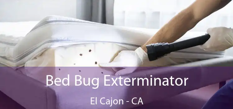 Bed Bug Exterminator El Cajon - CA