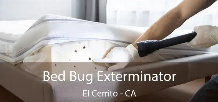  Bed Bug Exterminator El Cerrito - CA
