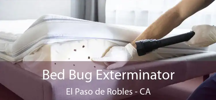 Bed Bug Exterminator El Paso de Robles - CA