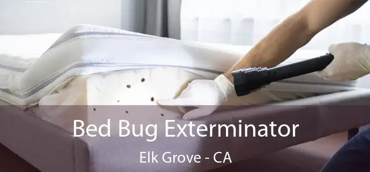  Bed Bug Exterminator Elk Grove - CA