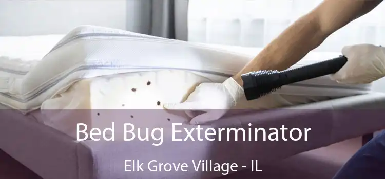  Bed Bug Exterminator Elk Grove Village - IL