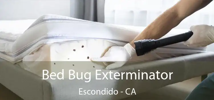 Bed Bug Exterminator Escondido - CA