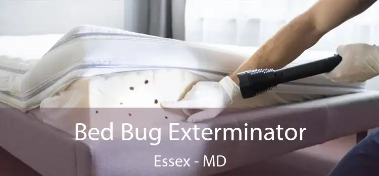  Bed Bug Exterminator Essex - MD