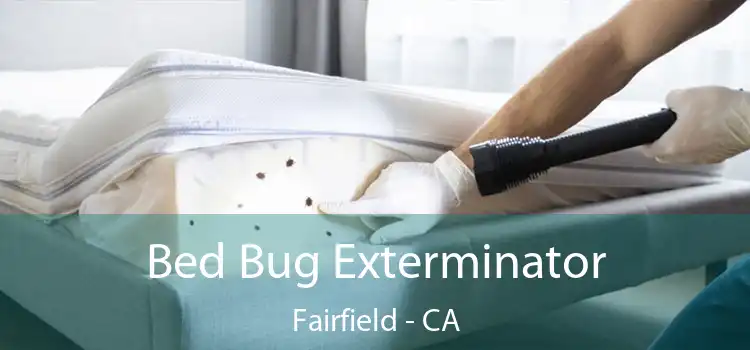  Bed Bug Exterminator Fairfield - CA