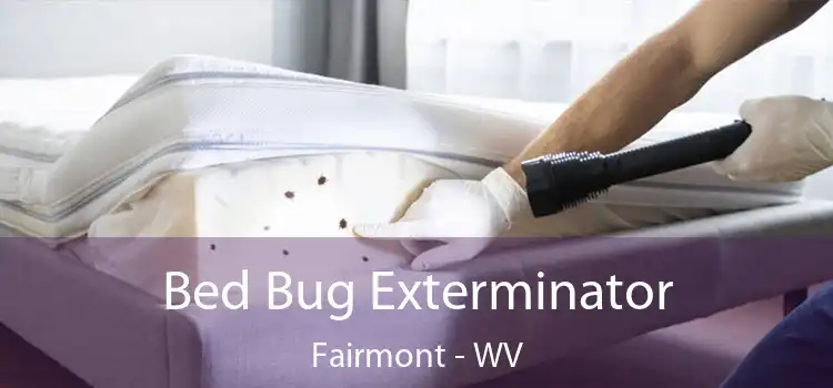  Bed Bug Exterminator Fairmont - WV