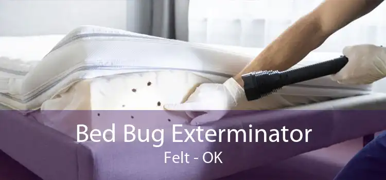 Bed Bug Exterminator Felt - OK