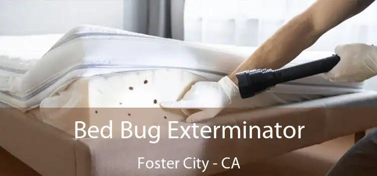 Bed Bug Exterminator Foster City - CA