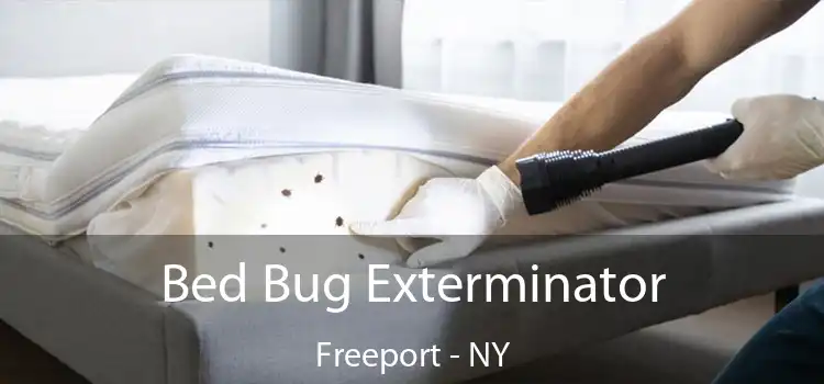  Bed Bug Exterminator Freeport - NY