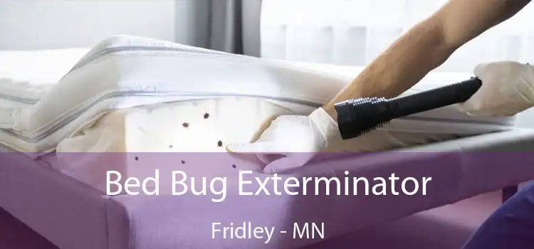  Bed Bug Exterminator Fridley - MN