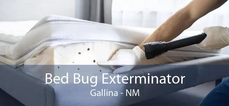 Bed Bug Exterminator Gallina - NM