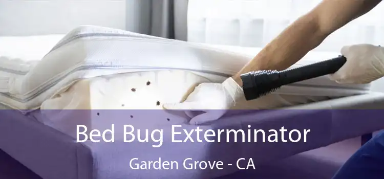  Bed Bug Exterminator Garden Grove - CA