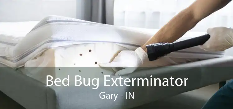 Bed Bug Exterminator Gary - IN