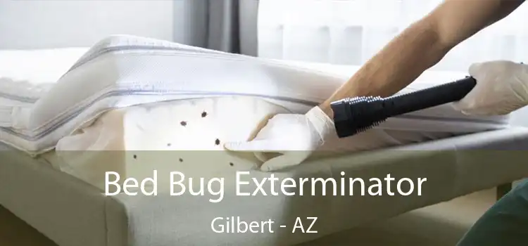  Bed Bug Exterminator Gilbert - AZ