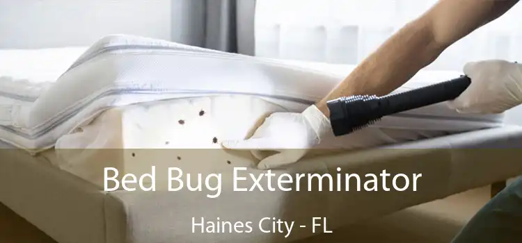  Bed Bug Exterminator Haines City - FL
