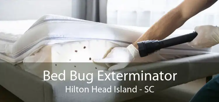 Bed Bug Exterminator Hilton Head Island - SC