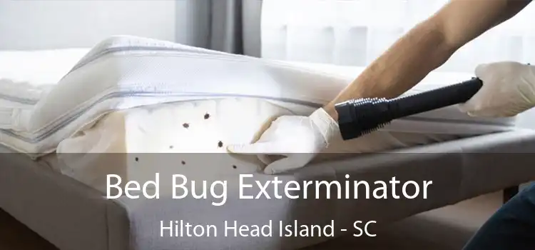  Bed Bug Exterminator Hilton Head Island - SC