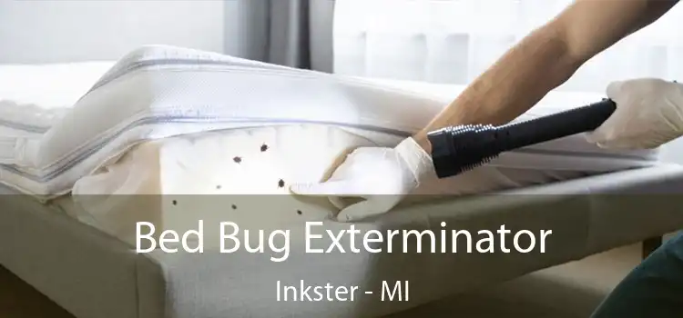  Bed Bug Exterminator Inkster - MI