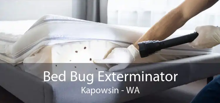 Bed Bug Exterminator Kapowsin - WA