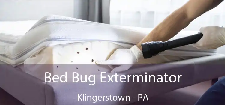  Bed Bug Exterminator Klingerstown - PA